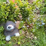 Charmantes In Nordfriesland * Humptrup